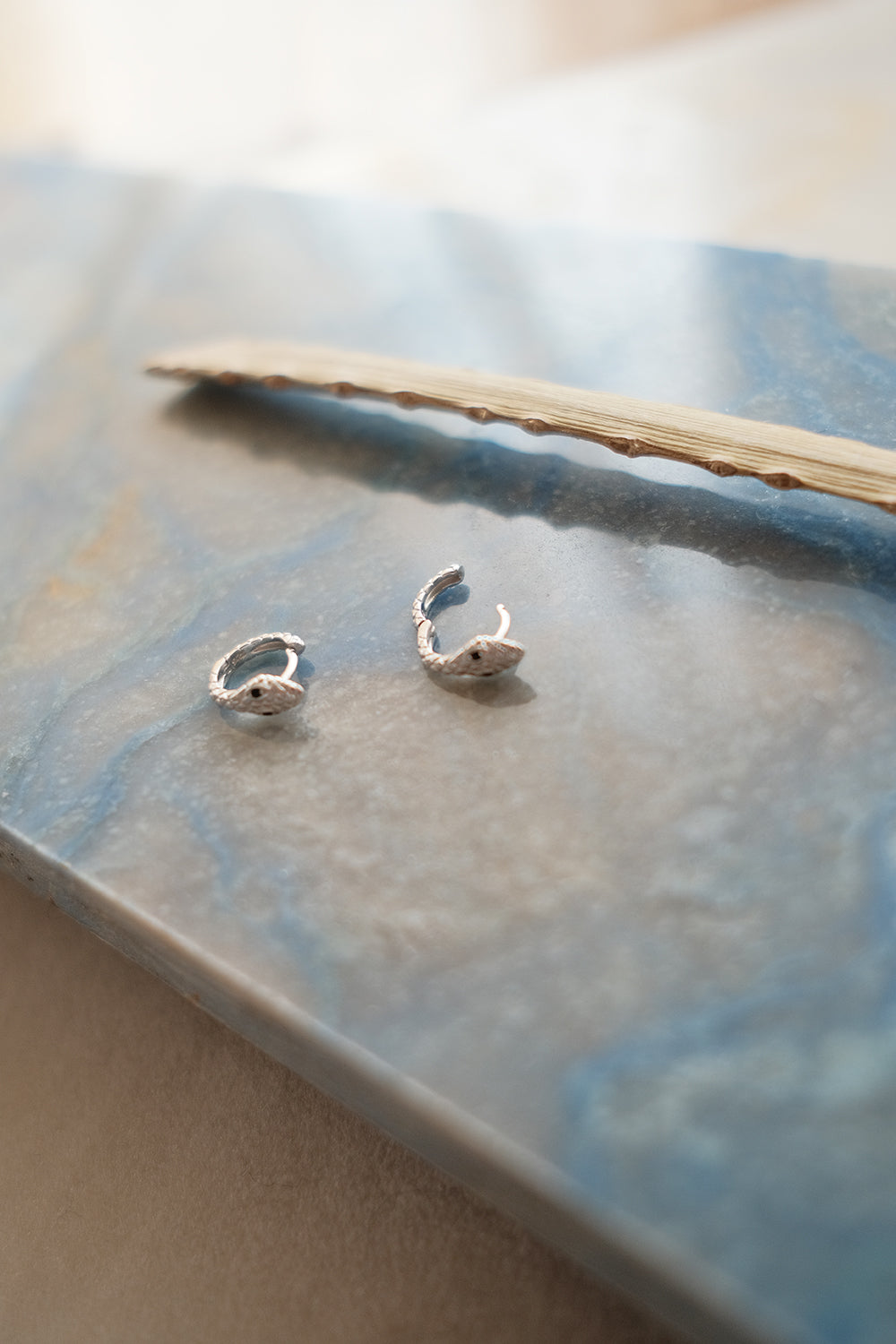 Snake Hoops