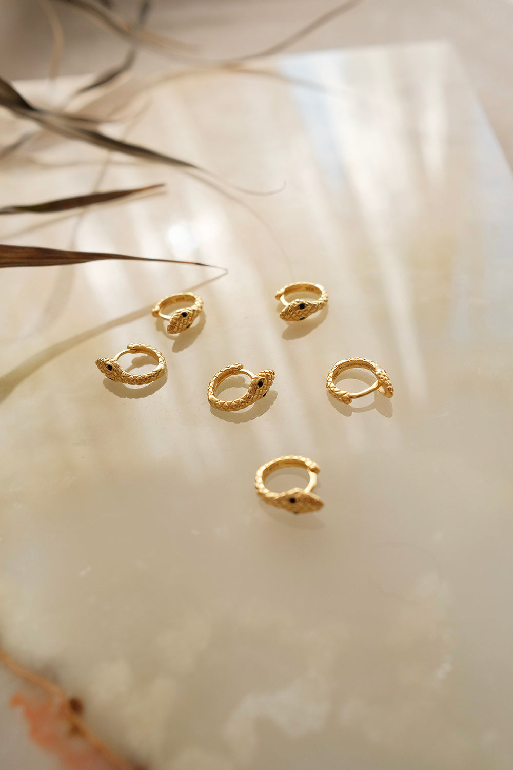 Snake Hoops